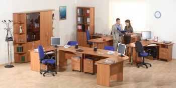 Мебель для персонала Альфа 61 Ольха в Новом Шарапе - novyj-sharap.mebel54.com | фото