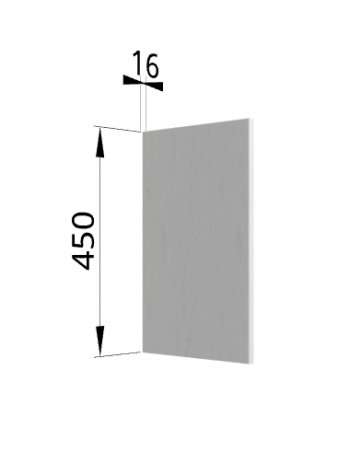 Панель торцевая (для шкафа горизонтального высокого) ВПГ Ройс (Графит софт) в Новом Шарапе - novyj-sharap.mebel54.com | фото